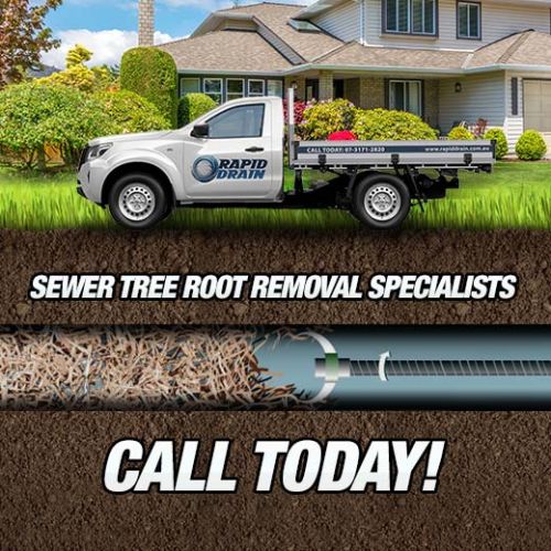 Sewer Tree Root Removal Specialists In Moorina